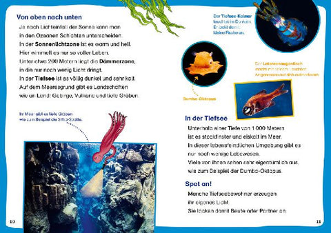 9783788677411 - Sample content