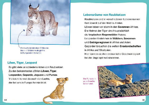 9783788677428 - Sample content