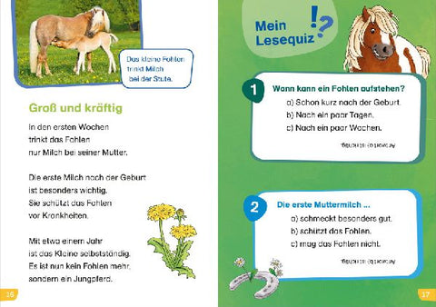 9783788677466 - Sample content