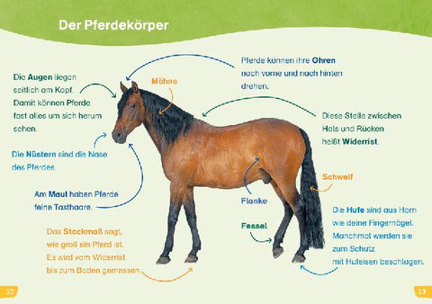 9783788677466 - Sample content