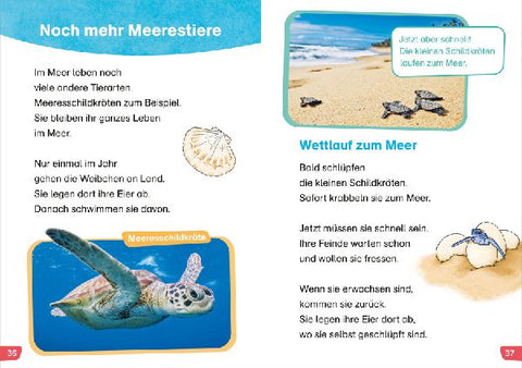 9783788677480 - Sample content