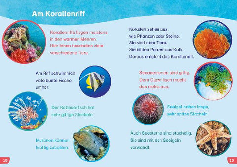 9783788677480 - Sample content