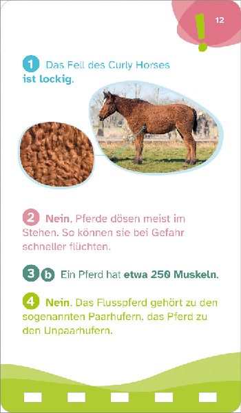 9783788677893 - Sample content