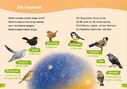 9783788681258 - Sample content