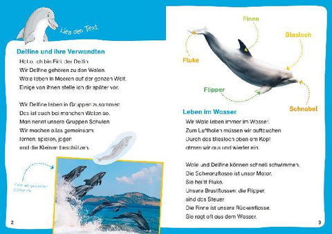 9783788681449 - Sample content