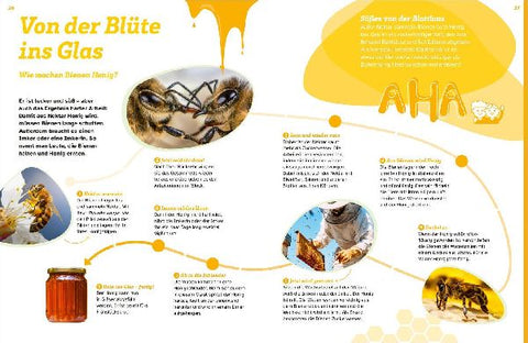 9783788681739 - Sample content