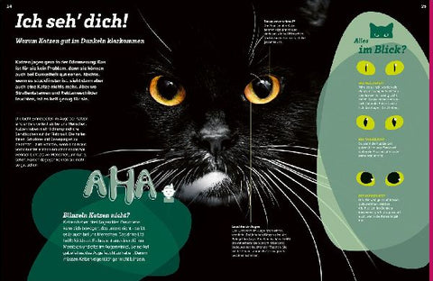 9783788681760 - Sample content