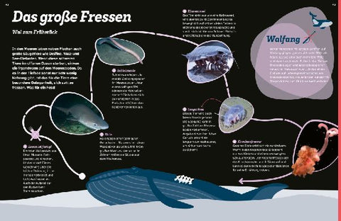 9783788681777 - Sample content