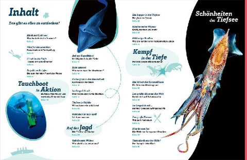 9783788681777 - Sample content