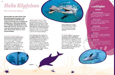 9783788681814 - Sample content