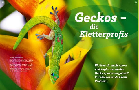 9783788681821 - Sample content