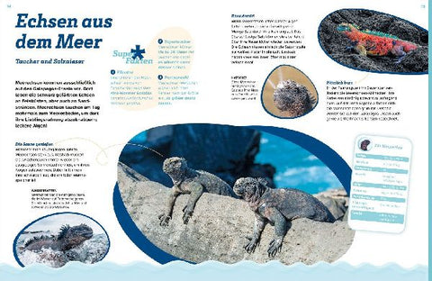 9783788681821 - Sample content