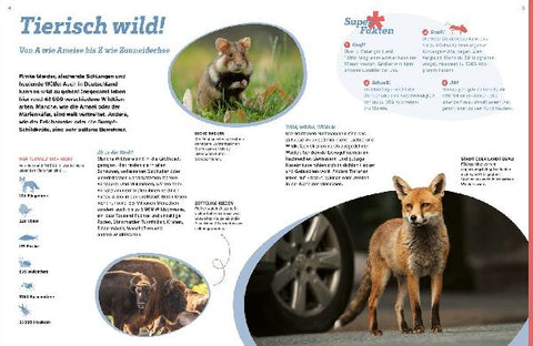 9783788681876 - Sample content