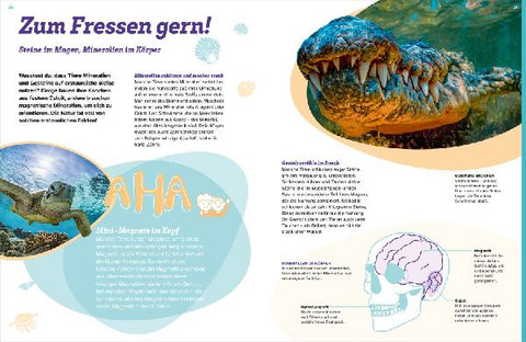 9783788681890 - Sample content