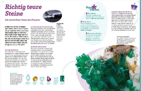 9783788681890 - Sample content