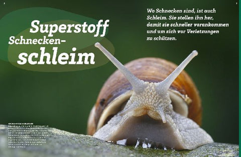 9783788681906 - Sample content