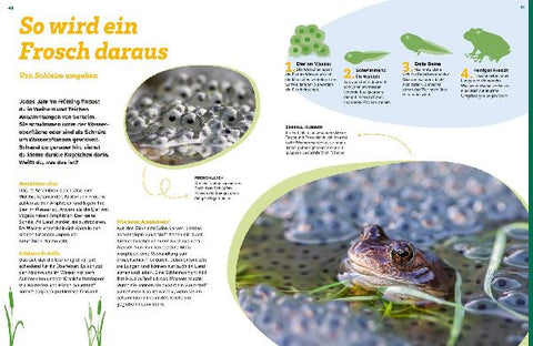 9783788681906 - Sample content