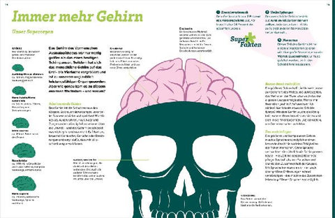 9783788681913 - Sample content