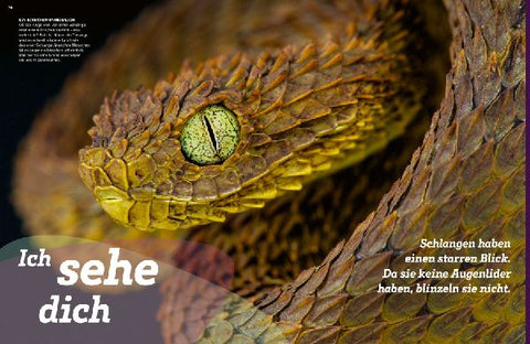 9783788681951 - Sample content