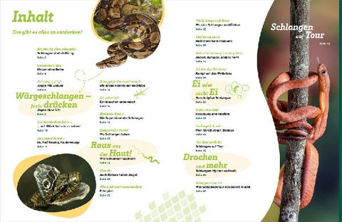 9783788681951 - Sample content