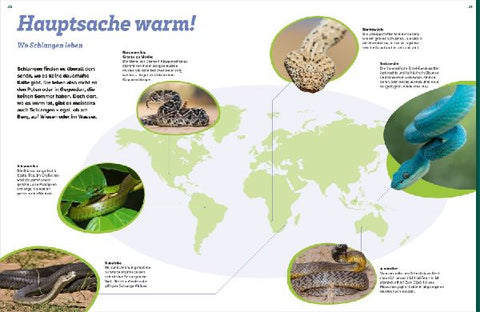 9783788681951 - Sample content