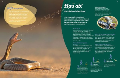 9783788681951 - Sample content