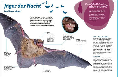 9783788681975 - Sample content