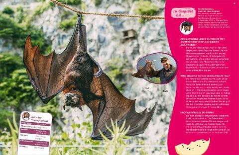 9783788681975 - Sample content