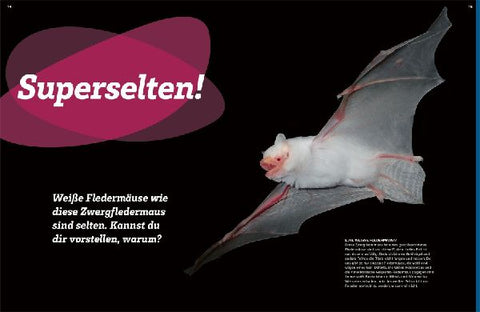 9783788681975 - Sample content