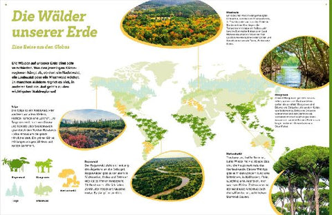 9783788682026 - Sample content