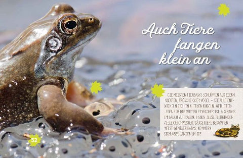 9783789109416 - Sample content