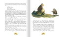 9783789121388 - Sample content