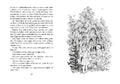 9783789129452 - Sample content