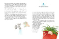 9783789131677 - Sample content