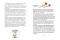 9783789133206 - Sample content