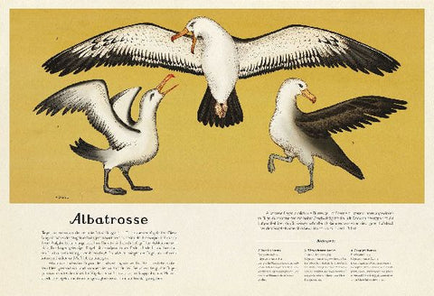 9783791371771 - Sample content