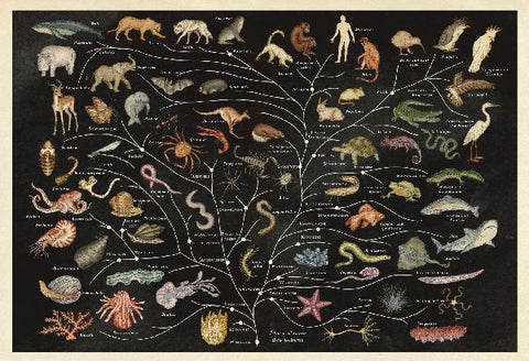 9783791371771 - Sample content