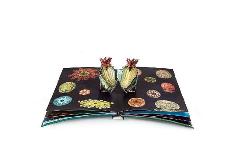 9783791372327 - Sample content