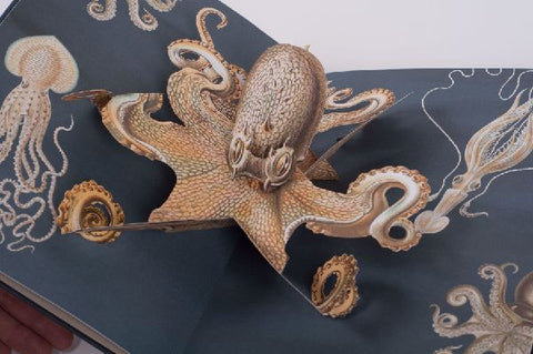 9783791372327 - Sample content