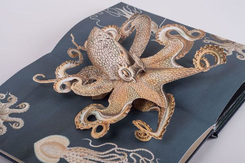 9783791372327 - Sample content