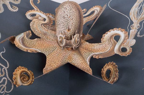 9783791372327 - Sample content