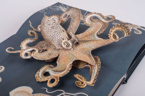 9783791372327 - Sample content