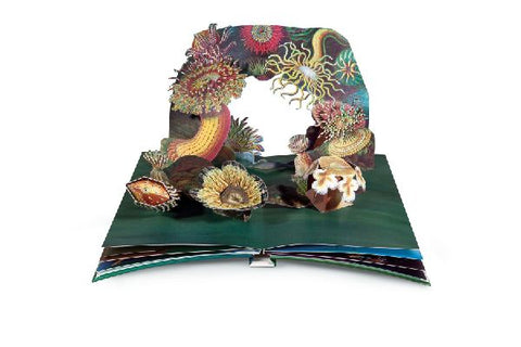 9783791372327 - Sample content