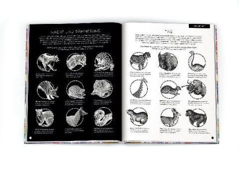 9783791372822 - Sample content