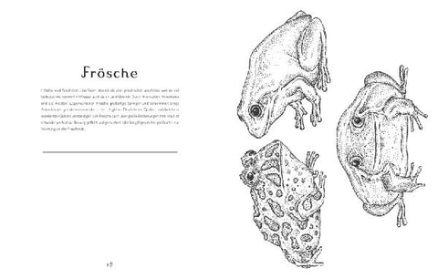 9783791372938 - Sample content