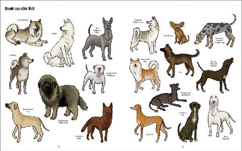 9783791373188 - Sample content