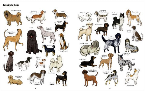 9783791373188 - Sample content