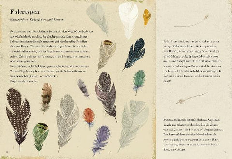 9783791373331 - Sample content