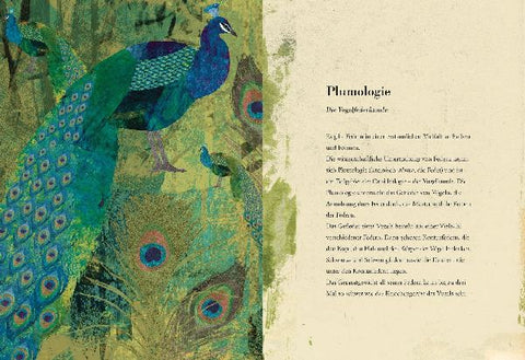 9783791373331 - Sample content