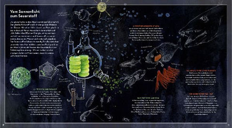 9783791373898 - Sample content